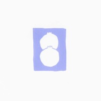 Blueberry Gallery logo - Similar company to Sectie-C