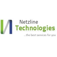 Netzline Technologies logo - Similar company to Softaxus