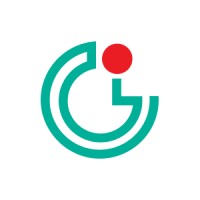 Golden Info Systems Ltd. logo - Similar company to Logic Infotech Ltd