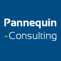 PANNEQUIN CONSULTING logo - Similar company to Octet