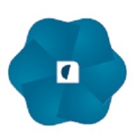 New Consulting - Information Systems, Lda. logo - Similar company to Noshut, Lda