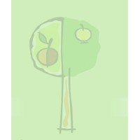 Sefton Park Infant and Junior Schools logo - Similar company to Document Solutions (Uk) Ltd