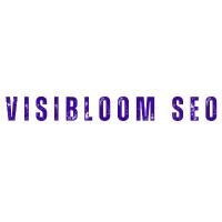 Visibloomseo logo - Similar company to Sua Imprensa