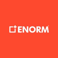 Enorm Teknoloji logo - Similar company to Enorm.Com