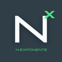 N-EXPONENTE logo - Similar company to Placis, Inc