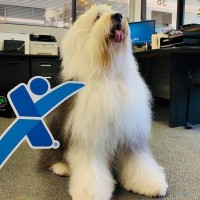 Express Employment Professionals - Richmond, CA logo - Similar company to Richmondside