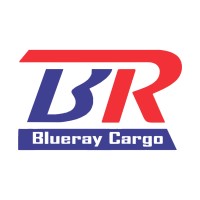 Blueray Cargo International logo - Similar company to Blueraycargo.Id