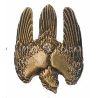 SakerUAV logo - Similar company to Sentinel Strike
