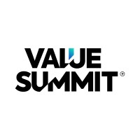 Value Summit® logo - Similar company to Efe Consulting Group™