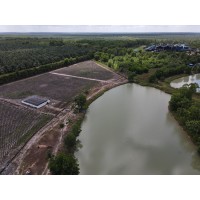 EXTRACTORA CUSIANA SAS logo - Similar company to Oleopalma