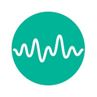 DoDoozy logo - Similar company to Overthinker Studio