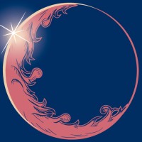 Moonshine Agency logo - Similar company to Fotogen Modelmanagement Ag