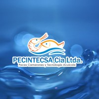 Pecintecsa logo - Similar company to Vvara