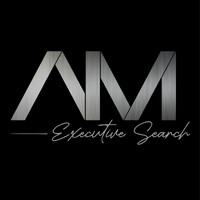 AM Executive Search logo - Similar company to Statistx