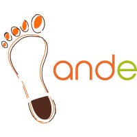 Ande Leadership Development