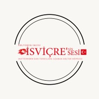 İsviçre'nin Sesi +41 🇨🇭🤝🇹🇷 logo - Similar company to Dei̇k Türkiye - İsviçre İş Konseyi