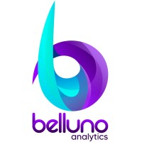 Belluno Analytics logo - Similar company to Presik Smart Tech