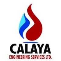 Calaya Group logo - Similar company to Dozzy Group