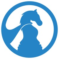Stratave logo - Similar company to Strateva Partners
