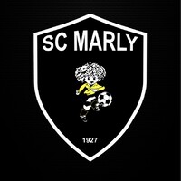 SPORTING CLUB MARLY logo - Similar company to Rendez-Vous Grenat
