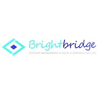 Brightbridge Consulting logo - Similar company to Elasticito