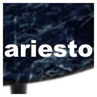 Ariesto logo - Similar company to Acs