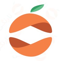 narangi.net logo - Similar company to I4Twins