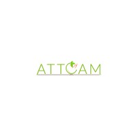 Attcam Consulting Inc logo - Similar company to Big Robin