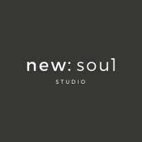 new soul logo - Similar company to Scelion