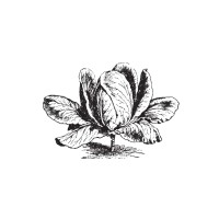 William Wright & Co logo - Similar company to Lehman Bros