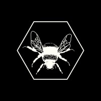 The B. Hive logo - Similar company to Invent The Summer