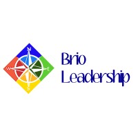 Brio Leadership logo - Similar company to Arc Financial