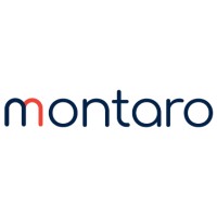 Montaro logo - Similar company to Santech Services