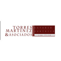 Torres Martínez & Asociados logo - Similar company to Psn Legal Services
