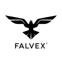Falvex.AI logo - Similar company to Leadss Lab Xp