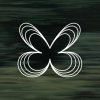Butterfly Effect logo - Similar company to Loomenti.Com