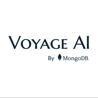Voyage AI by MongoDB logo - Similar company to Datavolo
