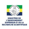 Ministère de l'Enseignement Supérieur et de la Recherche Scientifique logo - Similar company to Ministère De La Communication
