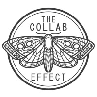 The Collab Effect logo - Similar company to Monarch Management
