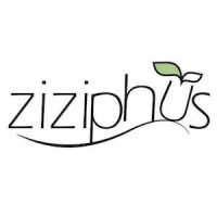 Ziziphus Group logo - Similar company to Mangro.Io