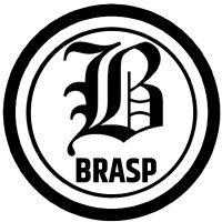 BRASP SMART HOMES logo - Similar company to Pattern Point Studio