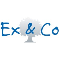EX ET CO EXPERTS ET CONSEILS logo - Similar company to Ex&Co Digital