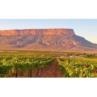 STELLENFINEWINES