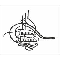 tugra  enerji logo - Similar company to Effective Enerji