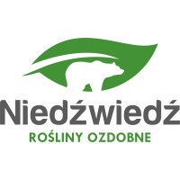 Niedźwiedź Rośliny Ozdobne logo - Similar company to Solektro - Natura Twoim Źródłem Energii