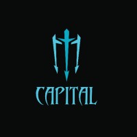MT Capital Lda logo - Similar company to Instituto Alba