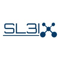 SL3I logo - Similar company to Futureye