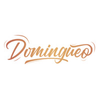 Domingueo logo - Similar company to Vamos Experience