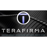 Terafirma Capital logo - Similar company to Kasmedia