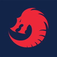 Dragon Security logo - Similar company to Cts Security
